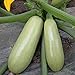 foto Semillas de calabacín de la calabaza de verano de 50 unids, planta de techo de granja de huertos nutritivos para plantar jardín yarda al aire libre 1 Semillas de calabacín