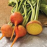 David's Garden Seeds Beet Boldor 3122 (Yellow) 200 Non-GMO, Open Pollinated Seeds photo / $3.95