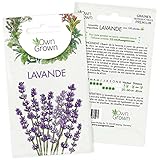 Graines de lavande à planter: Graines de fleurs pour environ 100 plantes de lavande - Graine de lavande vivace pour jardin et balcon OwnGrown photo / 2,95 €