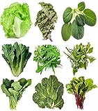 Greens Seeds Collection, 2500+ Seeds, 9 Heirloom Varieties, Arugula, Beet, Upland Cress, Vates Collard, Red Russian Kale, Crisphead Lettuce, Parris Island Lettuce, Tatsoi Mustard, Viroflay Spinach photo / $12.99