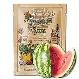 Watermelon Seeds, Crimson Sweet Variety | 60+ Non-GMO, Heirloom Watermelon Seeds | Premium Home Gardening Melons photo / $4.75