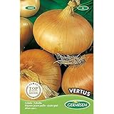 Germisem Vertus Semillas de Cebolla 4 g (EC1002) foto / 2,70 €