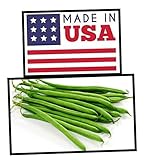 Green Bean Seeds-Heirloom Variety-Bush Bean Planting Seeds-50+ Seeds-USA Grown and Shipped from USA photo / $6.99