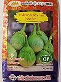 Golden Mountain Thai Light Green Round Medium Eggplant Seeds photo / $6.99