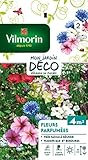 Vilmorin 5862942 Fleur parfumée, Multicolore, 90 x 2 x 160 cm photo / 4,50 €