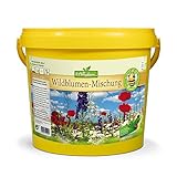 N. L. Chrestensen Wildblumen - Mischung | 5 l Eimer für 500-1000 m2 | Blumensamen mehrjährig winterhart | Wildblumenwiese für Bienen und Schmetterlinge | Für Garten, Wiese foto / 49,95 € (9,99 € / l)