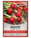 Radish Seeds for Planting - Cherry Belle Variety Heirloom, Non-GMO Vegetable Seed - 2 Grams of Seeds Great for Outdoor Spring, Winter and Fall Gardening by Gardeners Basics photo / $4.95