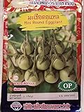 Golden Mountain Thai Mini Round Eggplant Seeds photo / $6.99