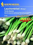 Lauchzwiebeln 'Tonda Musona' foto / 2,29 €