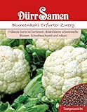 Dürr Samen 0006 Blumenkohl Erfurter Zwerg (Blumenkohlsamen) foto / 2,27 €