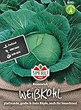 81212 Sperli Premium Weißkohl Samen Brunswijker | Mild und sehr Fein im Geschmack | Lagerfähig | Weißkohl Saatgut | Kohl Samen | Sauerkraut Samen foto / 3,95 €