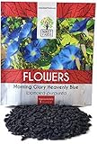 Morning Glory Seeds Heavenly Blue - Large 1 Ounce Packet - Over 1,000 Flower Seeds photo / $7.97