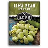 Survival Garden Seeds - Henderson Lima Bean Seed for Planting - Packet with Instructions to Plant and Grow Tender White Butter Beans in Your Home Vegetable Garden - Non-GMO Heirloom Variety photo / $5.99