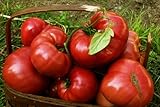 75+ Pink Brandywine Heirloom Tomato Seeds photo / $4.49