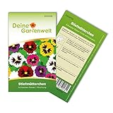 Stiefmütterchen Schweizer Riesen Mischung Samen - Viola wittrockiana - Stiefmütterchensamen - Blumensamen - Saatgut für 50 Pflanzen foto / 1,99 € (0,04 € / stück)