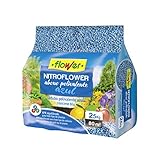 Flower 10529 - Abono polivalente 2,5 kg, Color Azul foto / 7,85 €