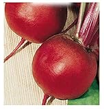 350 Aprox. - Graines de Betterave Jardin de Graines Chioggia - Beta Vulgaris En Paquet Original Fabriqué en Italie - Betterave photo / 13,32 €