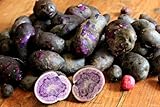 Simply Seed - Purple Majesty - Naturally Grown Seed Potatoes - 5 LB- Ready for Spring Planting photo / $25.99 ($0.32 / Ounce)