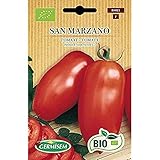 Bio Tomate San Marzano foto / 3,99 €