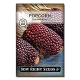 Sow Right Seeds - Strawberry Popcorn Seed for Planting - Non-GMO Heirloom Packet with Instructions to Plant a Home Vegetable Garden photo / $4.99