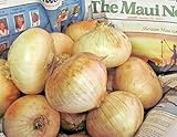 AchmadAnam Somarac - 400+ Maui Sweet Onion Seeds Short Day Spring / Fall Planting Easy - Fresh Seeds photo / $16.00