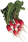 Burpee French Breakfast Organic Radish Seeds 325 seeds photo / $7.99