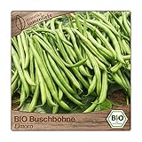 Samenliebe BIO Buschbohnen Samen Elmoro geschmackvolle Filetbohne lange Bohne schwarz grün 10 Samen samenfestes Gemüse Saatgut für Gewächshaus Freiland und Balkon BIO Gemüsesamen foto / 3,39 €