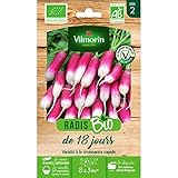 Vilmorin - Sachet graines Radis de 18 jours BIO photo / 6,10 €