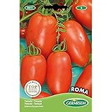 Germisem Roma Semillas de Tomate 1 g, EC8011 foto / 2,21 €