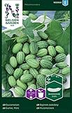 Mexikanische Minigurken Samen - Nelson Garden Gemüsesamen - Snackgurken Samen Saatgut (10 Stück) (Gurke, Mini, Einzelpackung) foto / 4,45 €