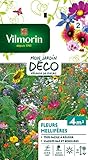 Vilmorin 5862842 Fleur mellifère, Multicolore, 90 x 2 x 160 cm photo / 4,50 €