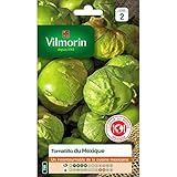 bolsa de semillas Tomatillo de México Vilmorin foto / 5,85 €