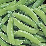 David's Garden Seeds Pea Snap Super Sugar 4736 (Green) 100 Non-GMO, Open Pollinated Seeds photo / $4.45