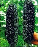 Black Bitter Melon Seeds for Planting, 10 Seeds - Dark Jade Bitter Melon - Ships from Iowa, USA photo / $9.96 ($0.20 / Count)