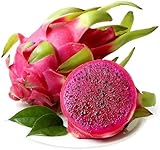 20 Piezas De Semillas De Fruta De Pitaya Deliciosa Semilla De árbol De Vid De Fruta De Dragón Rojo Para El Jardín Del Hogar Plantación Al Aire Libre foto / 4,99 €