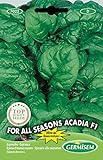 Germisem For All Seasons Acadia F1 Semillas de Espinacas 8 g, EC7022 foto / 3,68 €