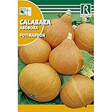 Semillas de Calabaza potimarron foto / 1,62 €