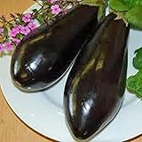 Eggplant,Black Beauty Eggplant Seed, Heirloom, , Non GMO, 25 Seeds, Vegetable photo / $1.99 ($0.08 / Count)