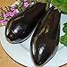 photo Eggplant,Black Beauty Eggplant Seed, Heirloom, , Non GMO, 25 Seeds, Vegetable