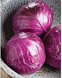 David's Garden Seeds Cabbage Ruby Perfection 7742 (Red) 100 Non-GMO, Hybrid Seeds photo / $3.95