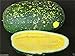 photo Watermelon seeds - Moon & Stars-Yellow (Citrullus lanatus) Non-GMO Heirloom ! (50 Seeds)