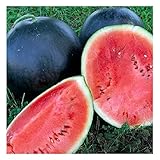 25 Black Diamond Watermelon Seeds | Non-GMO | Heirloom | Instant Latch Garden Seeds photo / $6.95