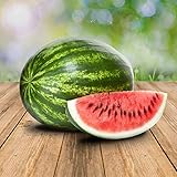 Wassermelon Klondike 25 x Samen - 100% Natursamen, Superfruchtig und Herrlich Erfrischend foto / 2,90 €