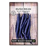 Sow Right Seeds - Royal Burgundy Bean Seed for Planting - Non-GMO Heirloom Packet with Instructions to Plant a Home Vegetable Garden photo / $5.49