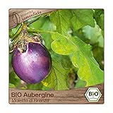 Samenliebe BIO Auberginen Samen alte Sorte Violetta di Firenza baby Aubergine runde Eierfrucht violett 10 Samen samenfestes Gemüse Saatgut für Gewächshaus Freiland und Balkon BIO Gemüsesamen foto / 3,29 €