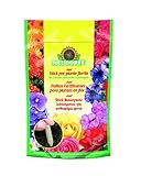 Neudorff Azet Palitos Fertilizantes para Plantas en Flor, Amarillo, 11.8x6x18 cm foto / 8,75 €