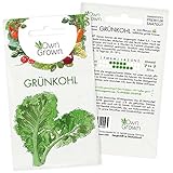 Grünkohl Samen: Premium Grünkohl Saatgut zur Anzucht von 200 Grünkohl Pflanzen – Wintergemüse Samen für Hochbeet und Garten – Samen Gemüse winterhart – Gemüse Samen – Saatgut Wintergemüse von OwnGrown foto / 2,95 € (0,01 € / stück)