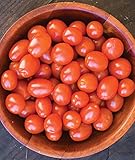 Burpee Napa Grape Tomato Seeds 30 seeds photo / $8.49 ($0.28 / Count)