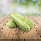 weiße Zucchini