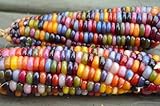 CEMEHA SEEDS - Corn Montana Mix Sweet Non GMO Vegetable for Planting photo / $6.95 ($0.28 / Count)